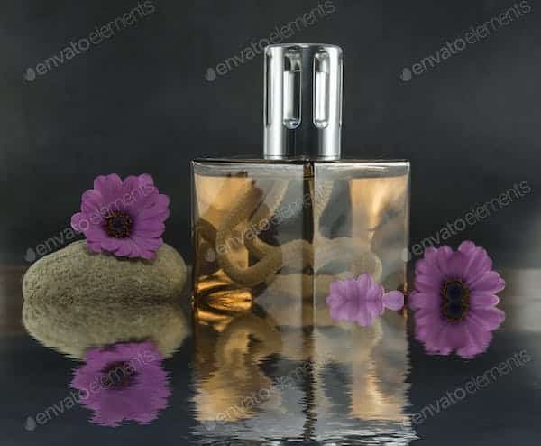 Comment choisir une fragrance qui complète parfaitement votre chimie corporelle?